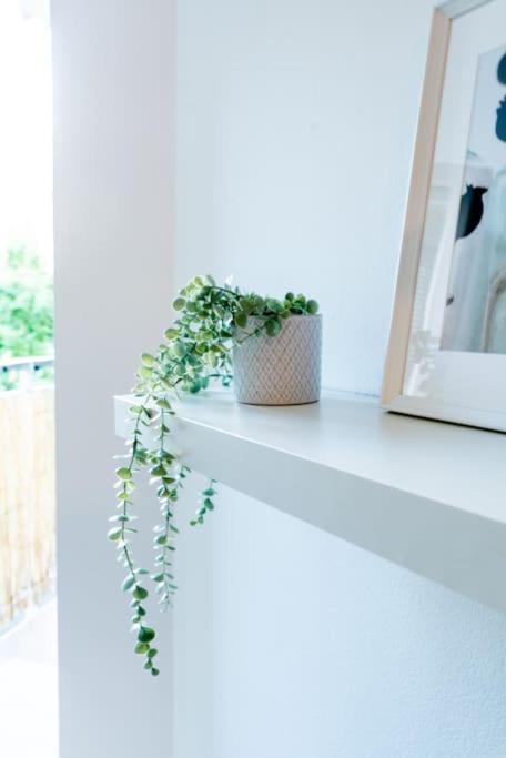 Grape Apartment Bratislava Eksteriør bilde