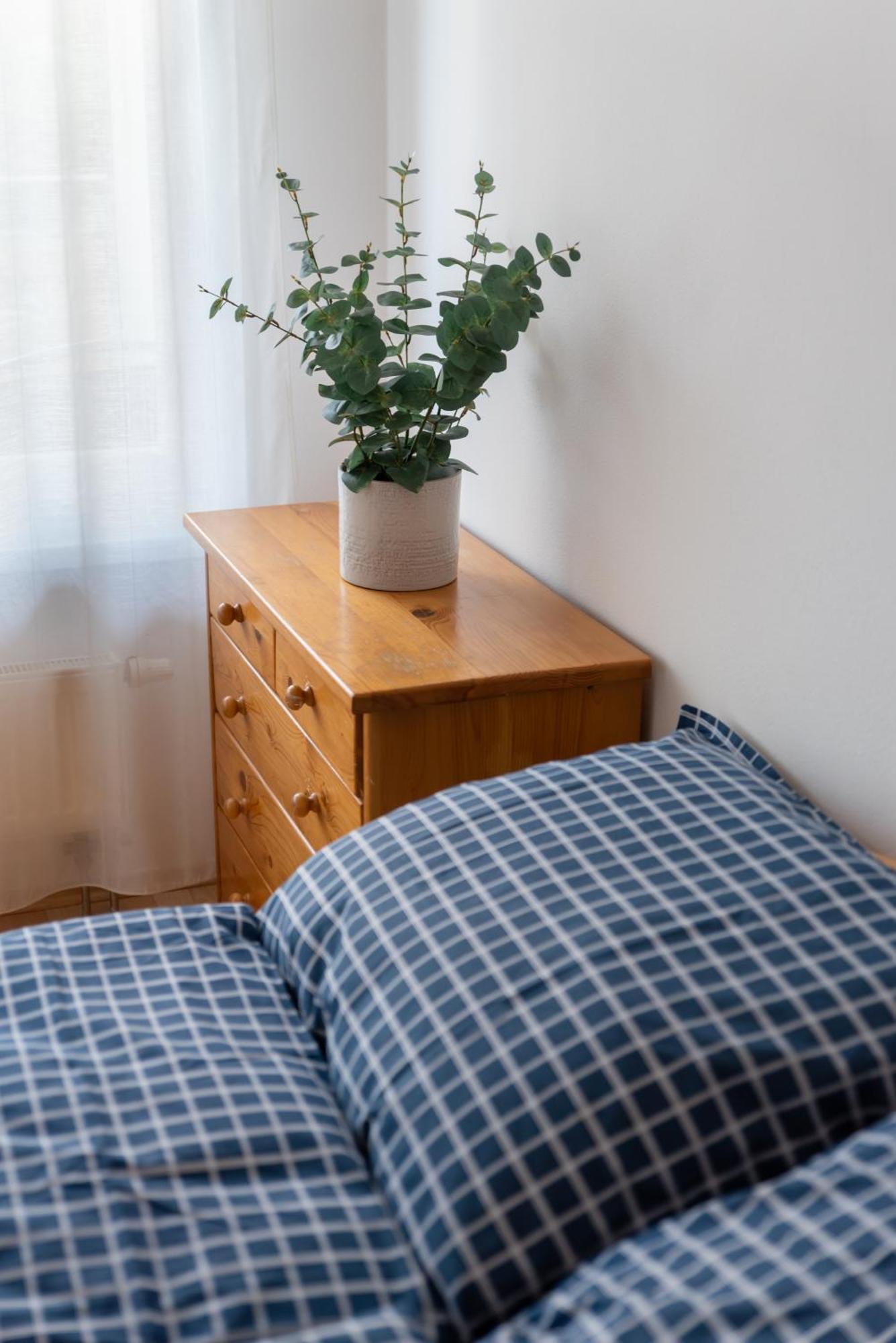 Grape Apartment Bratislava Eksteriør bilde